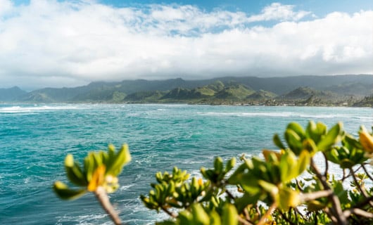 reunion
